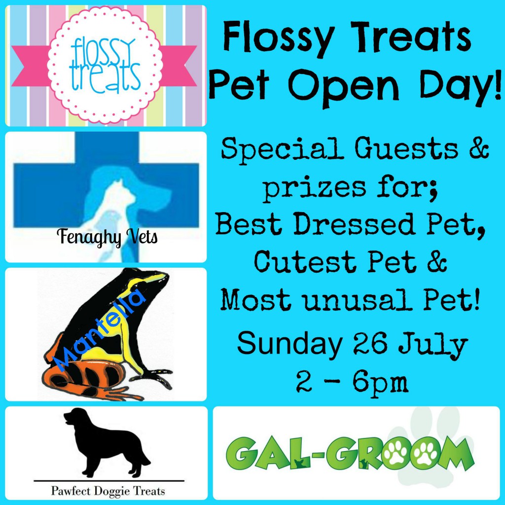 Flossy Treats Pet Open Day - Ballymena