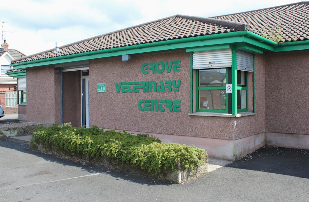 Grove Vets warn of rise in Parvo cases
